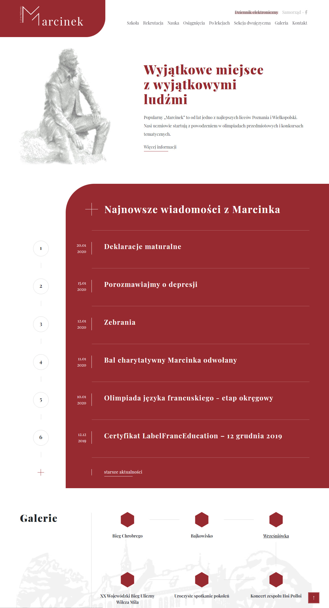 Serwis internetowy + logotyp - Marcinek 2